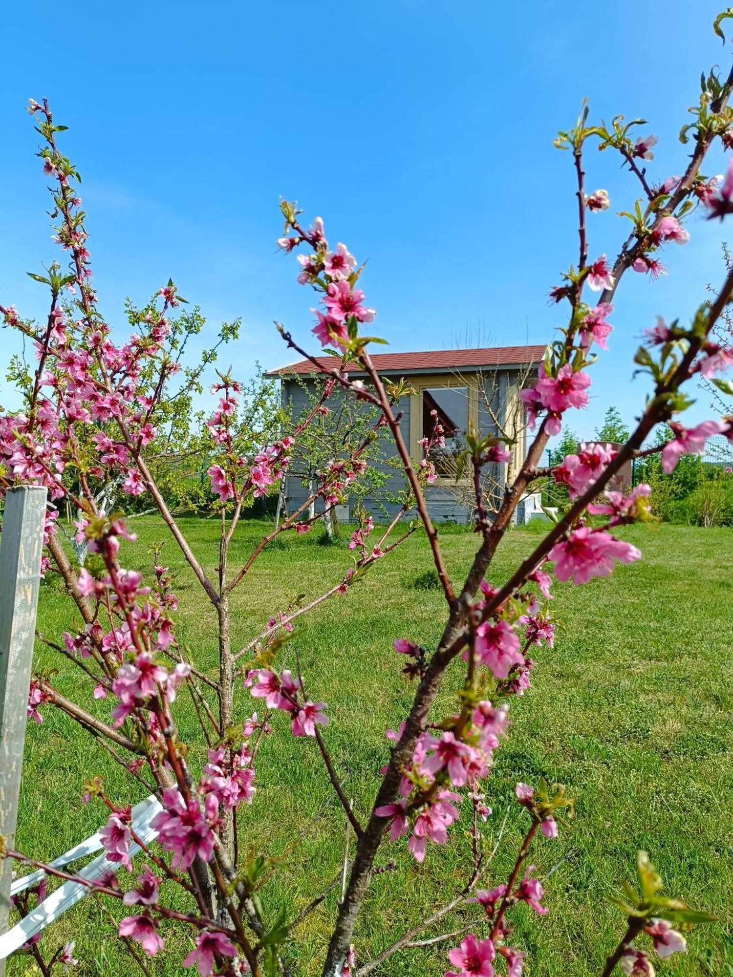 Namelis Karkleje Villa Buitenkant foto