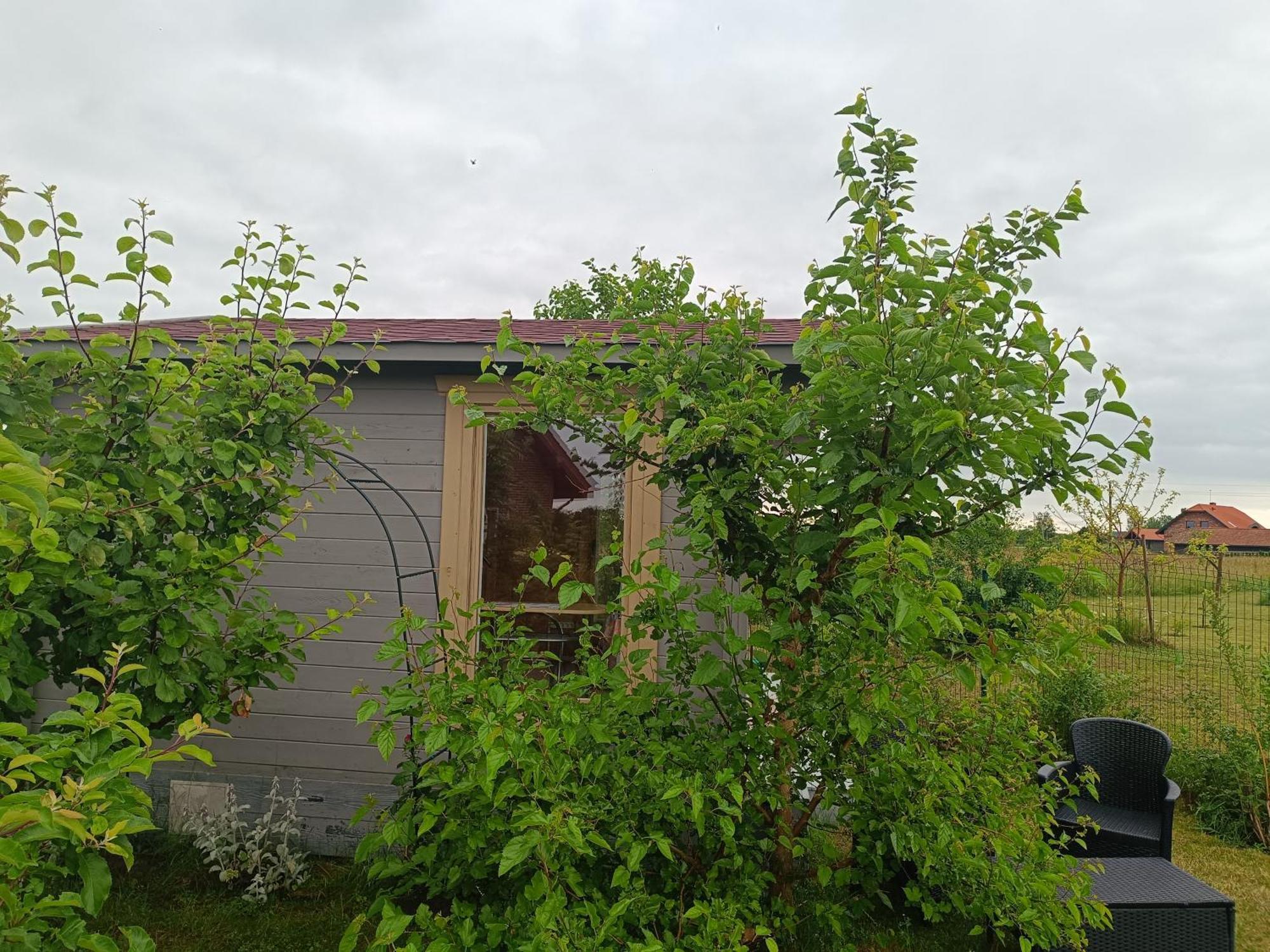 Namelis Karkleje Villa Buitenkant foto